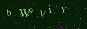 Validation image
